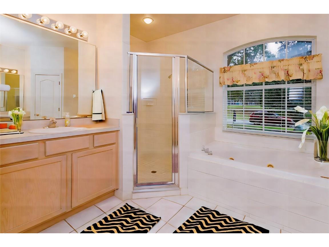 10424 Summit Lakes Lane Clermont FL 34711 O6201486 image6