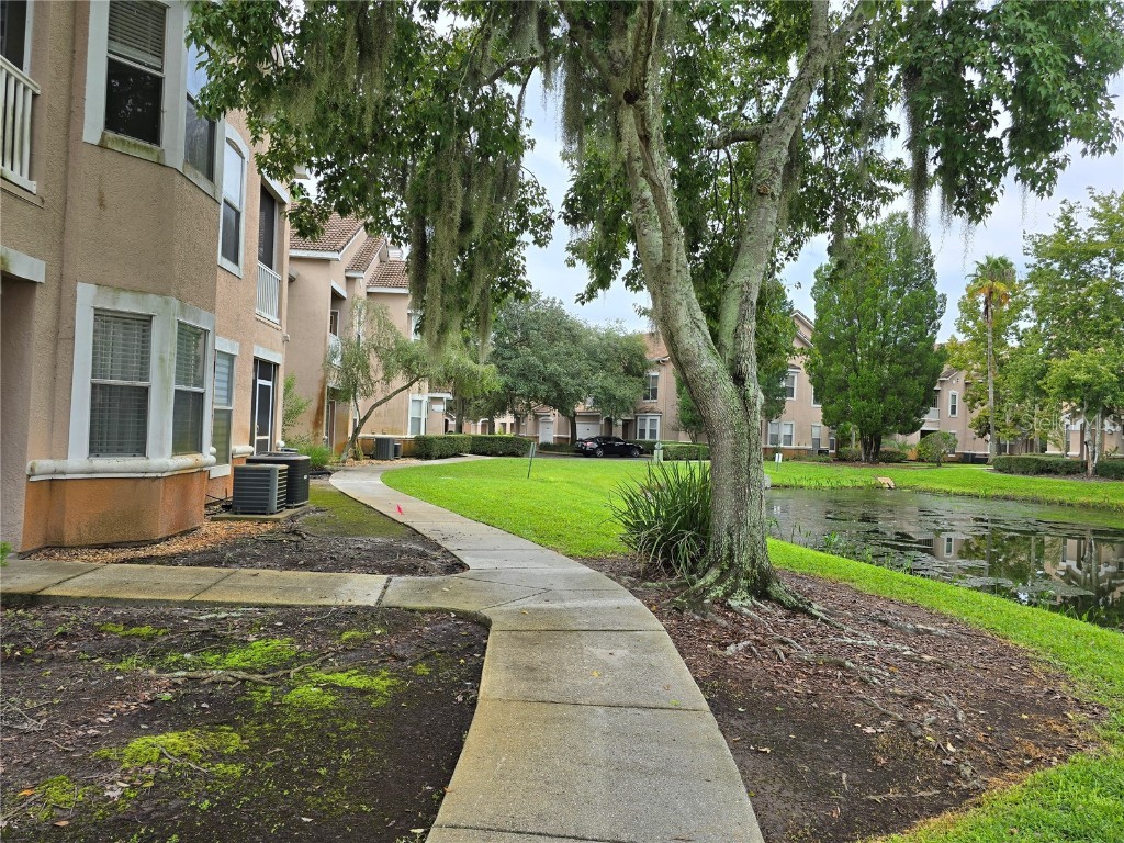 10424 Villa View Circle #10424 Tampa FL 33647 TB8454832 image44