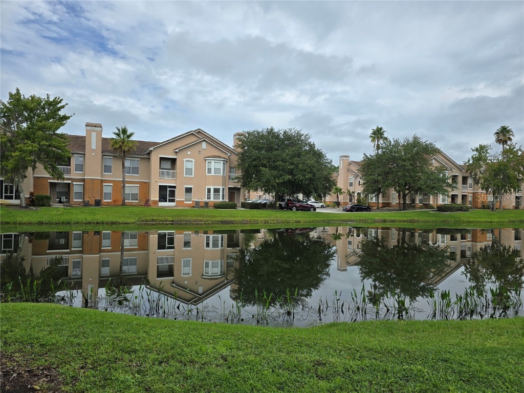 10424 Villa View Circle #10424 Tampa FL 33647 TB8454832 image45