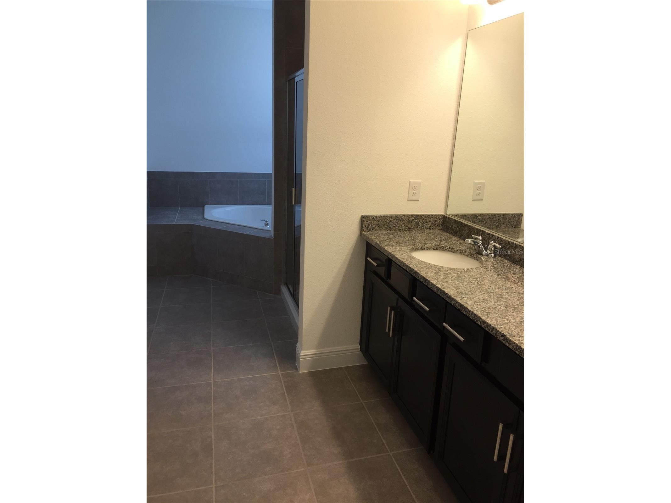 10424 Warrick Street Orlando FL 32836 O6400404 image18