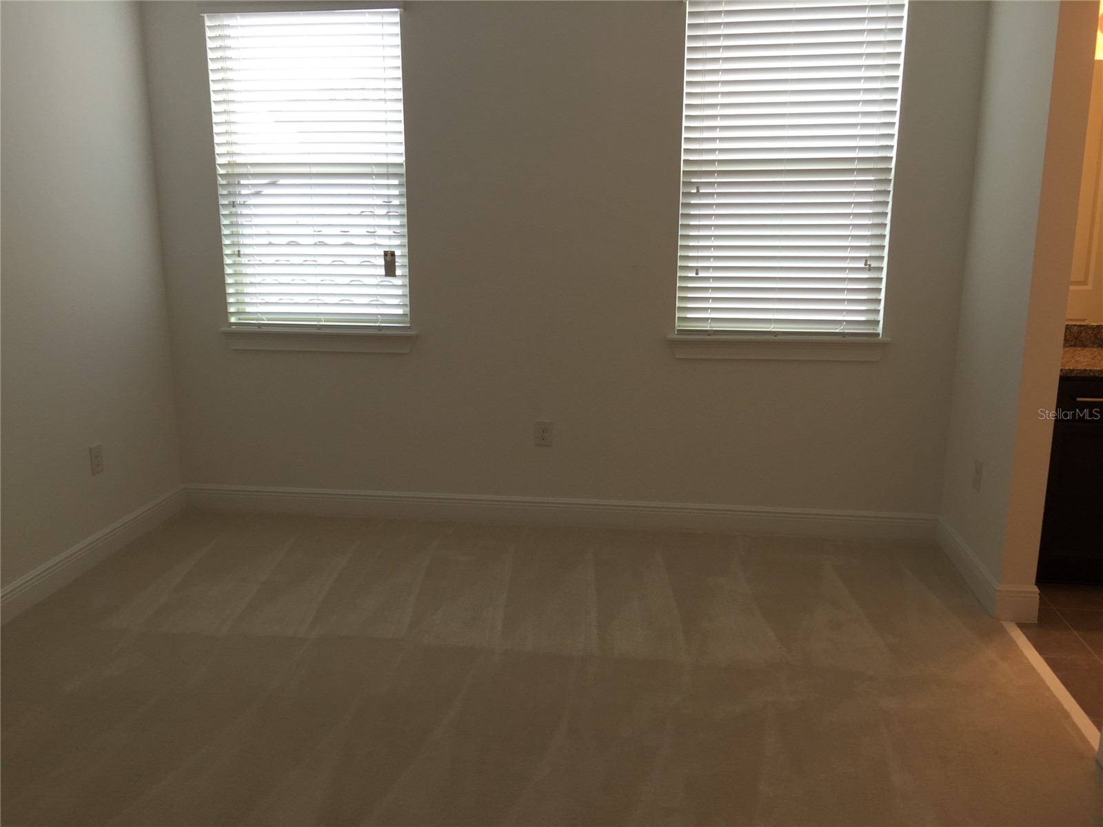 10424 Warrick Street Orlando FL 32836 O6400404 image24