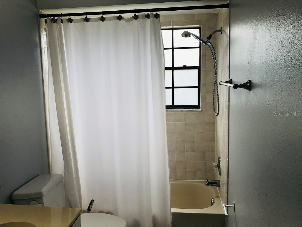 10425 La Mirage Court #202 Tampa FL 33615 T3551429 image25