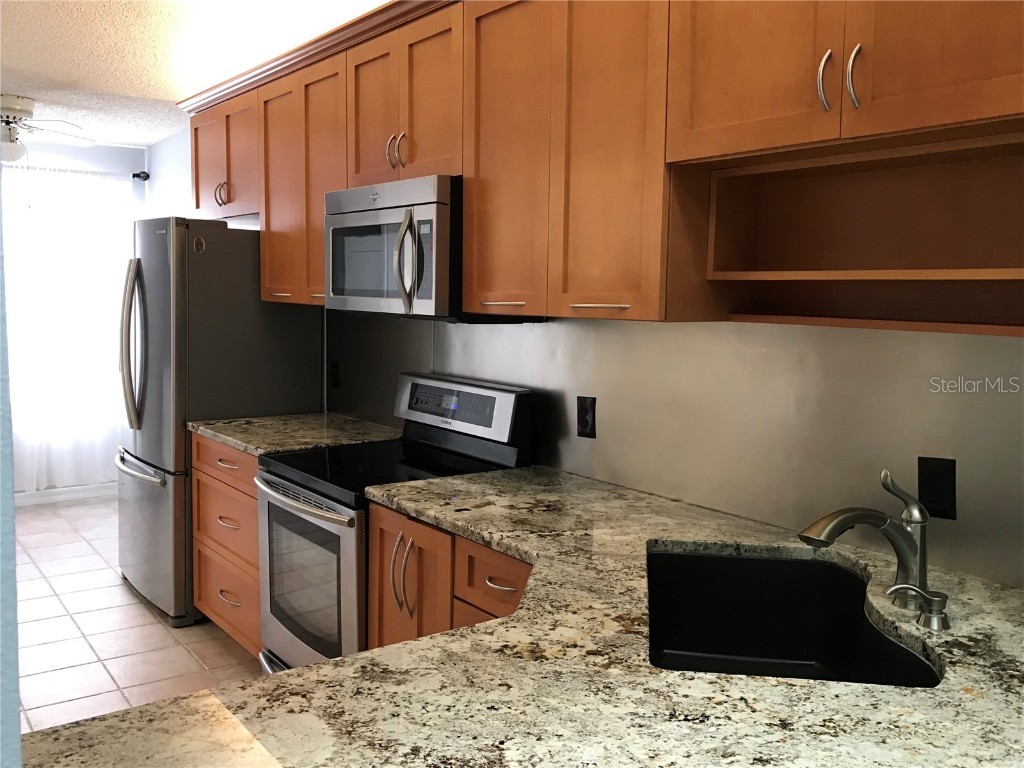 10425 La Mirage Court #202 Tampa FL 33615 T3551429 image28