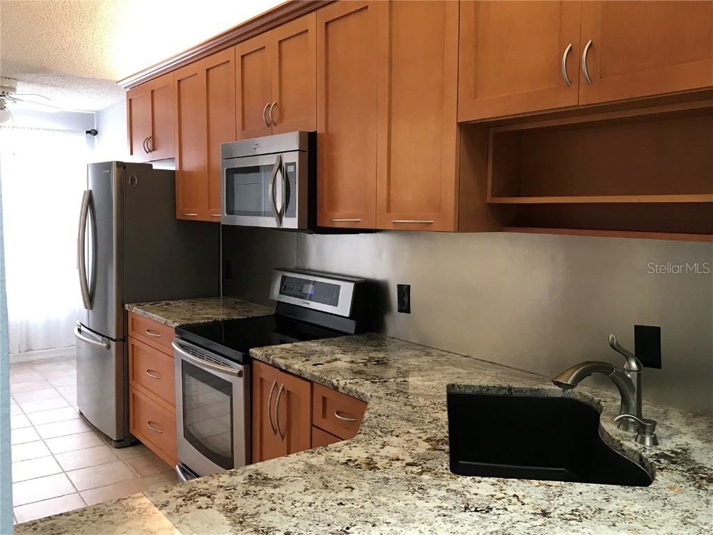 10425 La Mirage Court #202 Tampa FL 33615 T3551429 image29