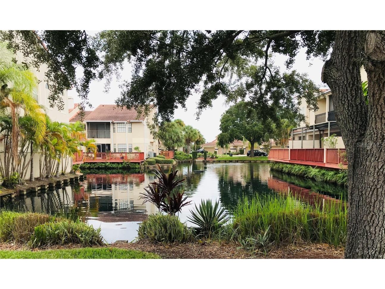 10425 La Mirage Court #202 Tampa FL 33615 T3551429 image40