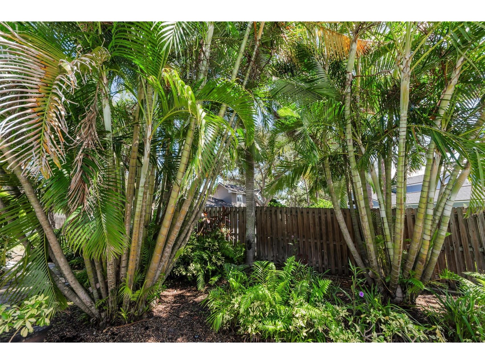 10425 Longwood Drive Seminole FL 33777 TB8435584 image39