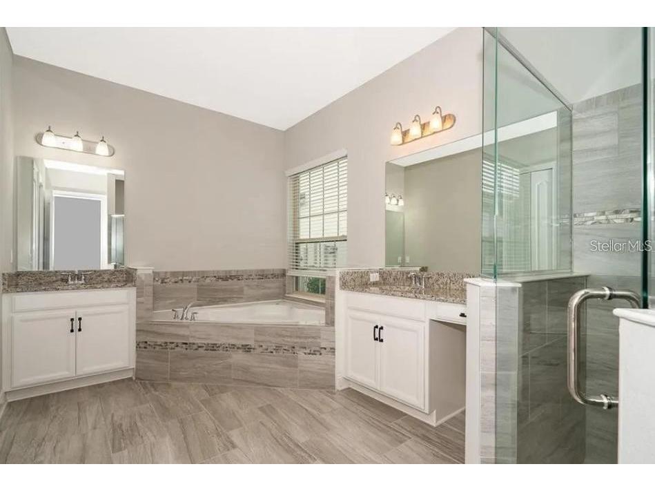 10425 Siddington Dr Orlando FL 32832 S5141903 image11