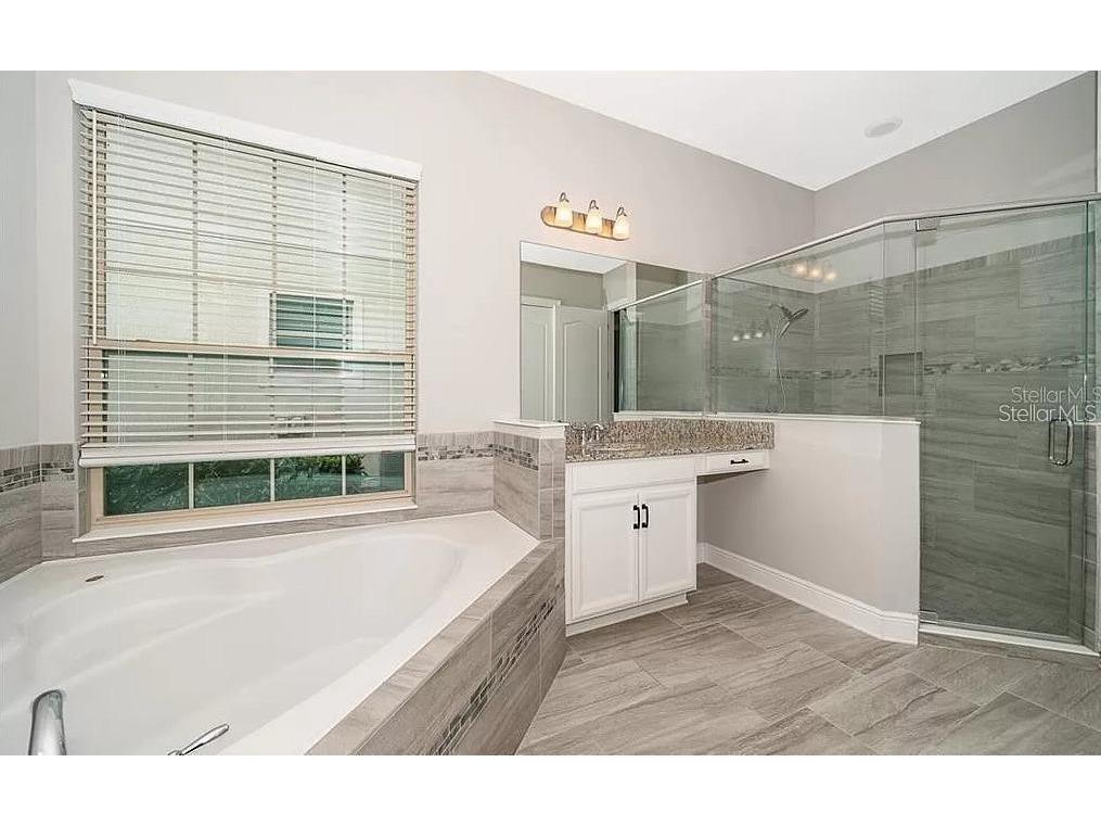 10425 Siddington Dr Orlando FL 32832 S5141903 image9