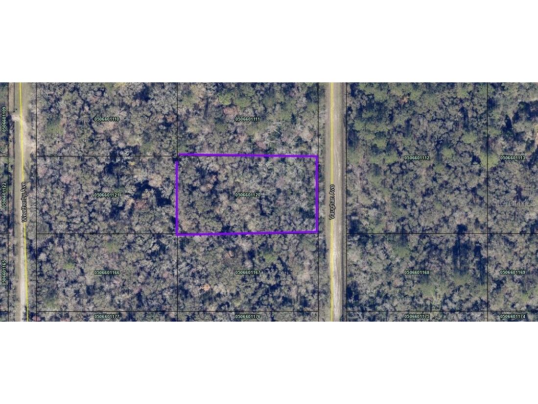 10425 Vaughan Avenue Hastings FL 32145 A4623020 image1