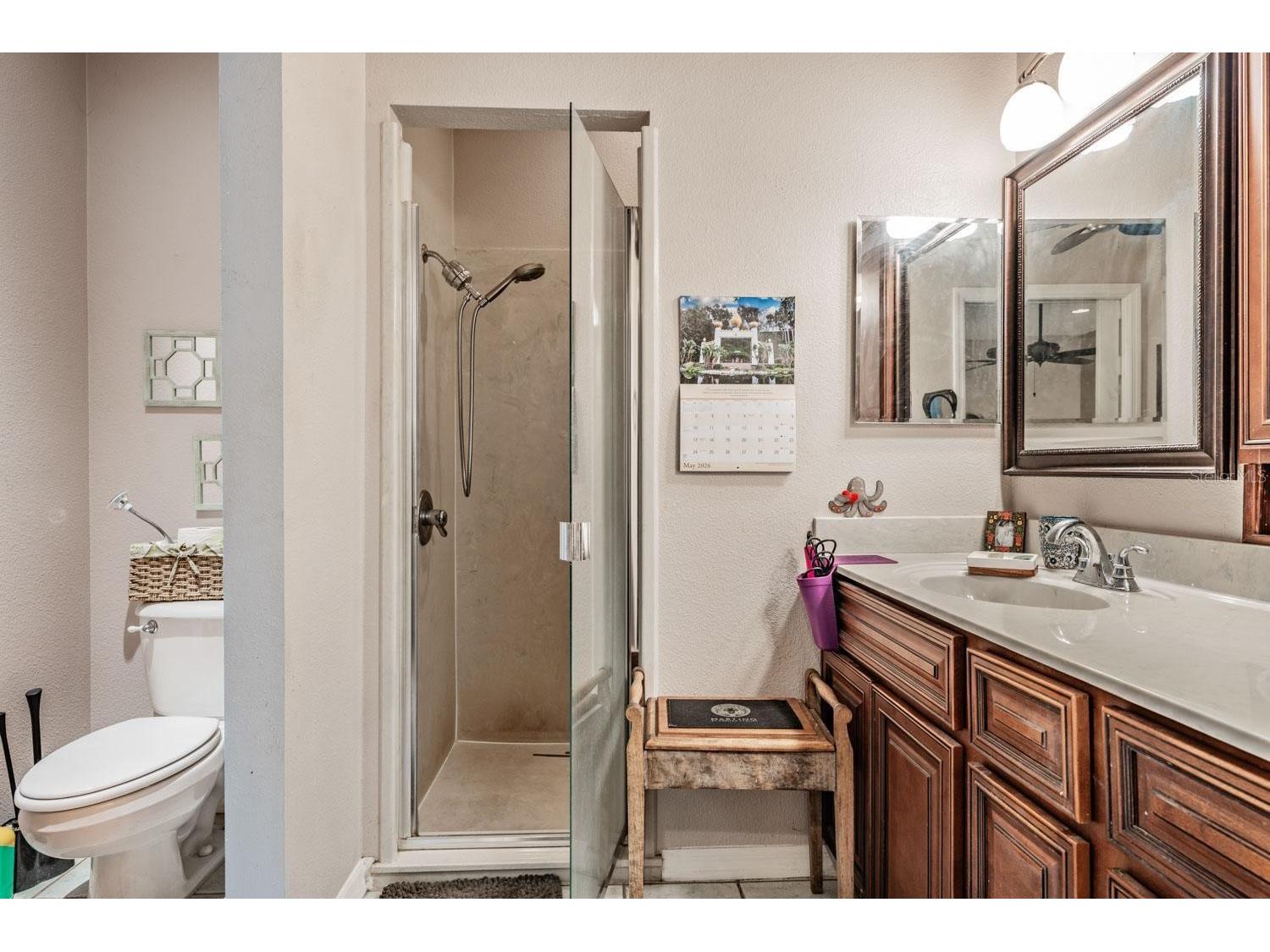 10426 Mount Dora Street New Port Richey FL 34655 W7885738 image18