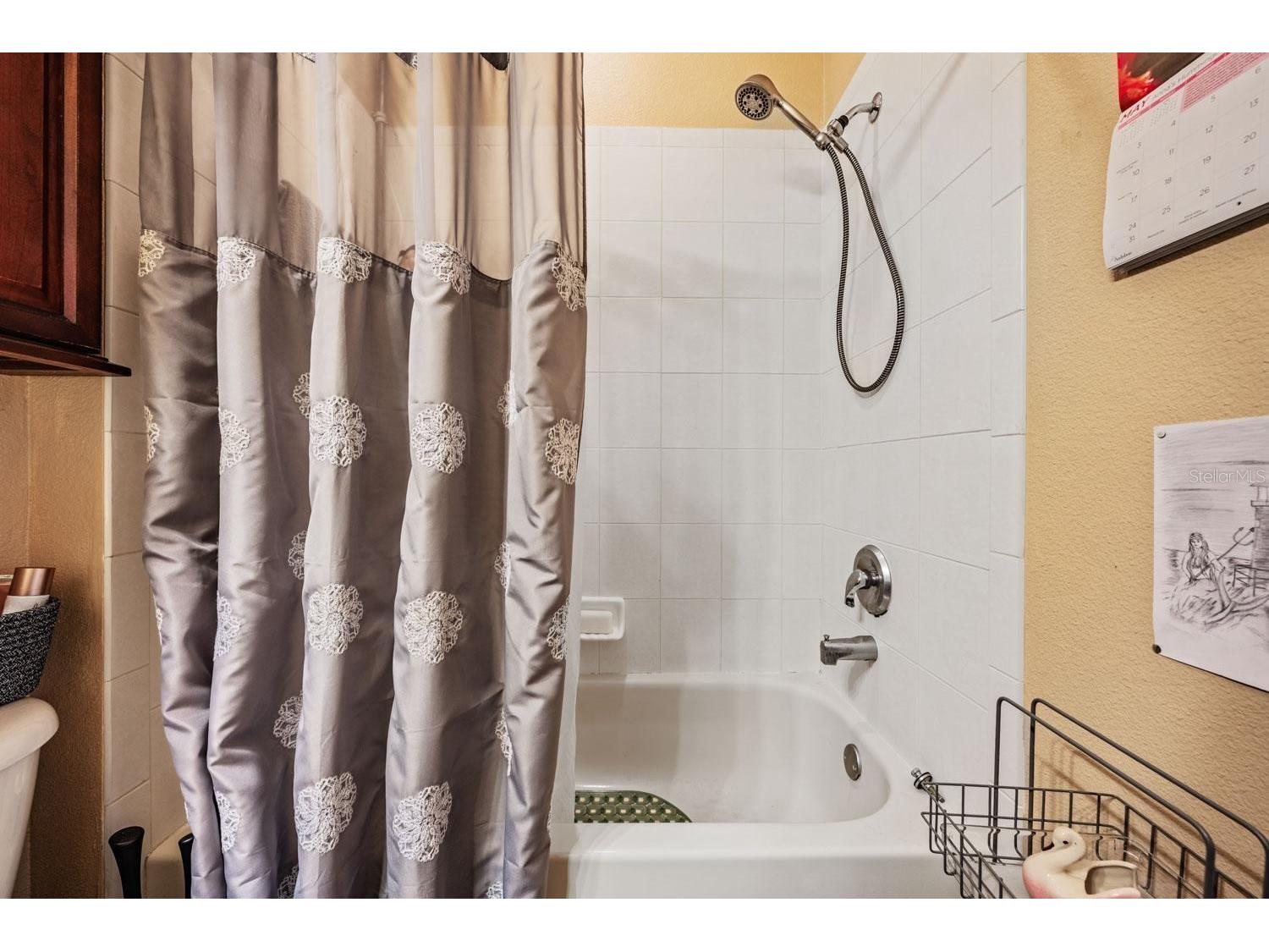 10426 Mount Dora Street New Port Richey FL 34655 W7885738 image21