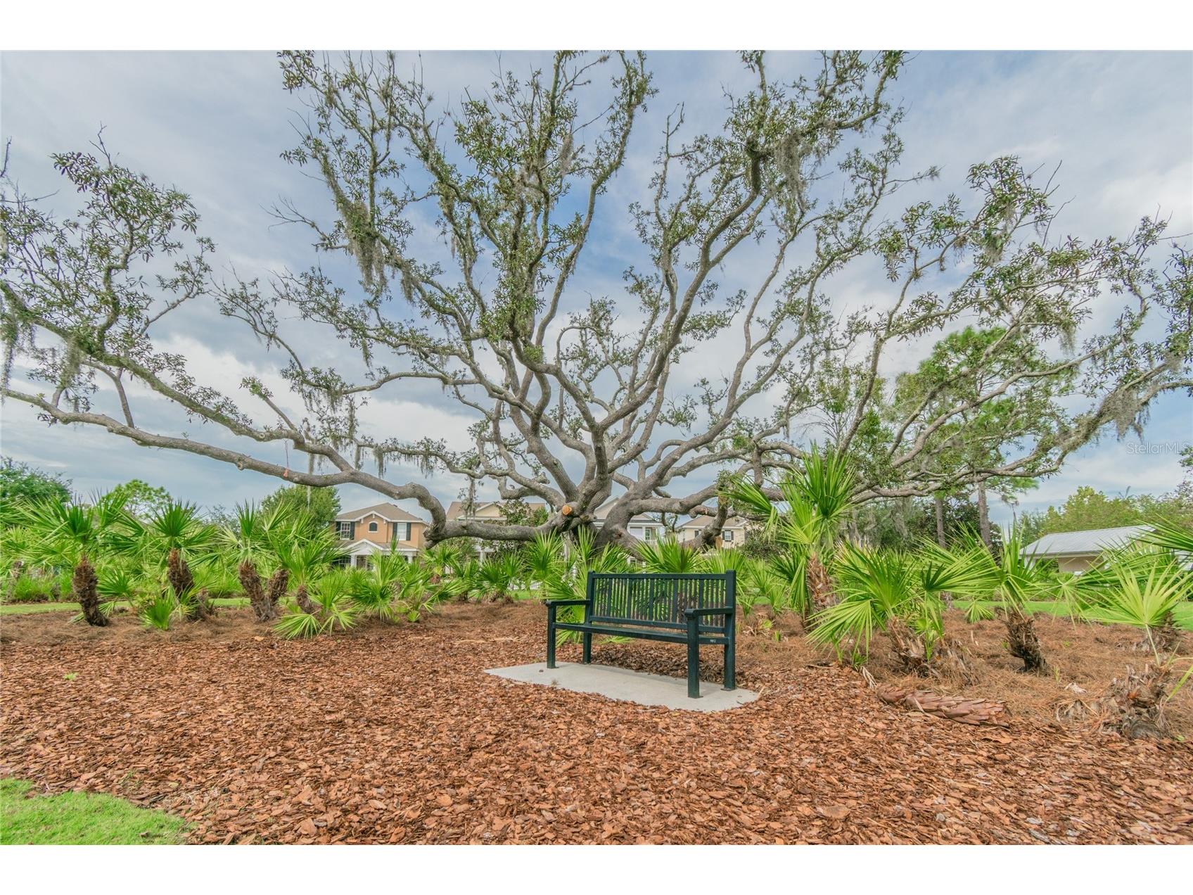 10426 Mount Dora Street New Port Richey FL 34655 W7885738 image43