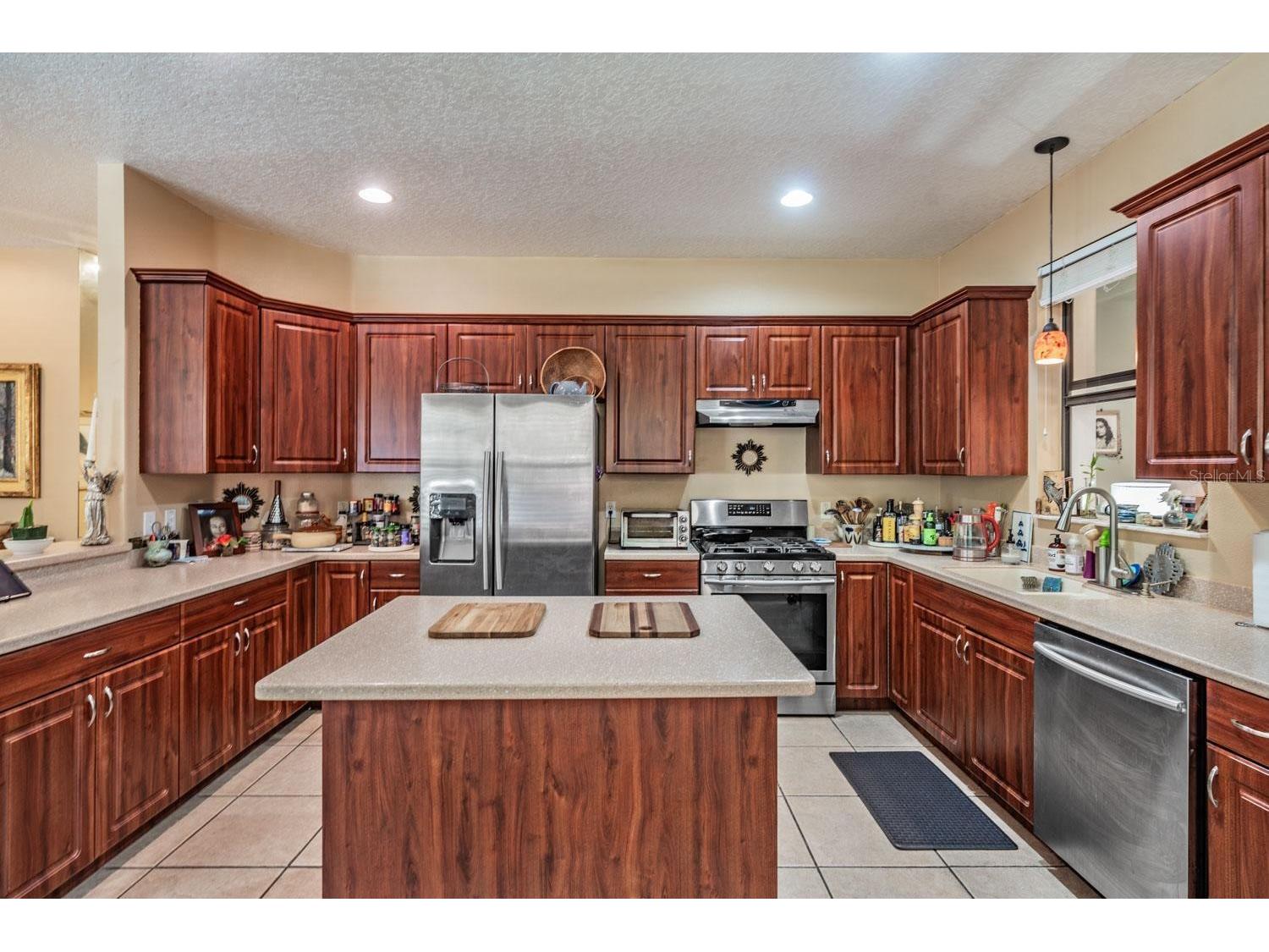 10426 Mount Dora Street New Port Richey FL 34655 W7885738 image5