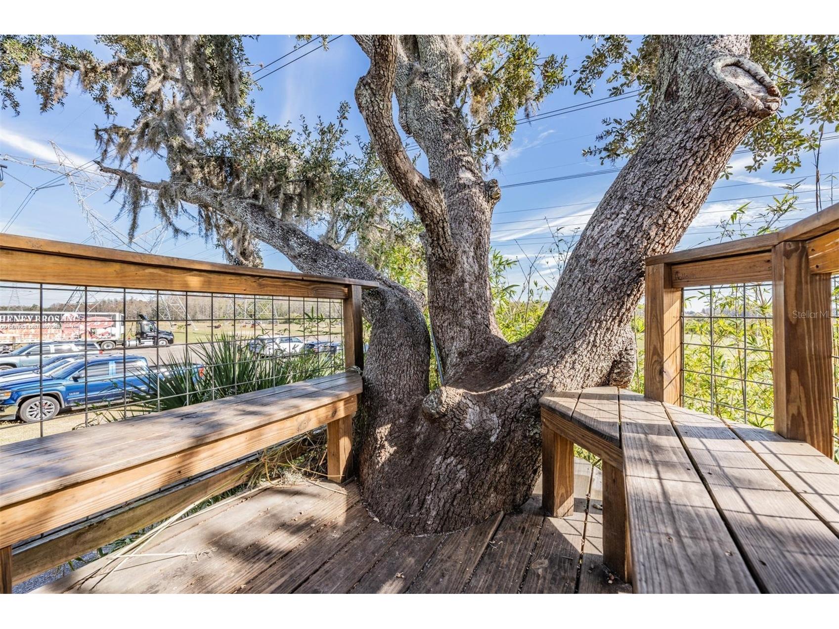 10426 Mount Dora Street New Port Richey FL 34655 W7885738 image56