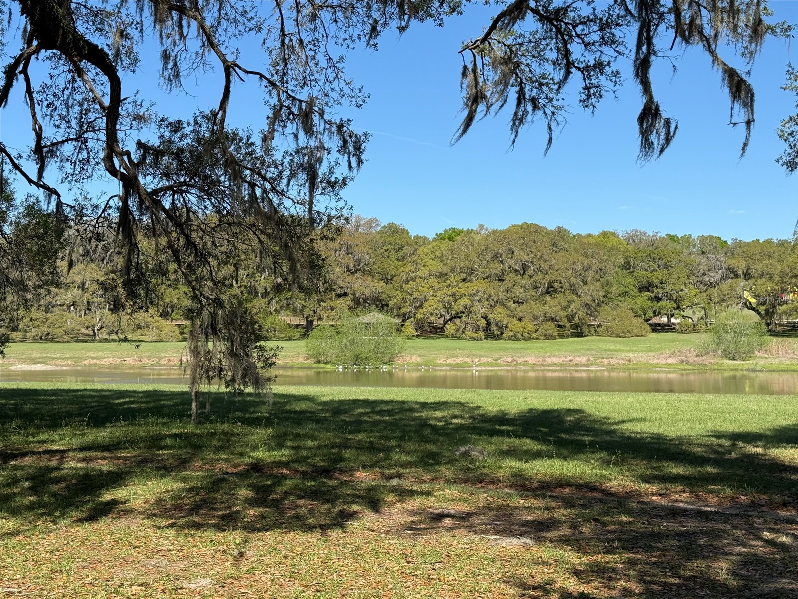 10426 SW 133rd Avenue Dunnellon FL 34432 OM721214 image24