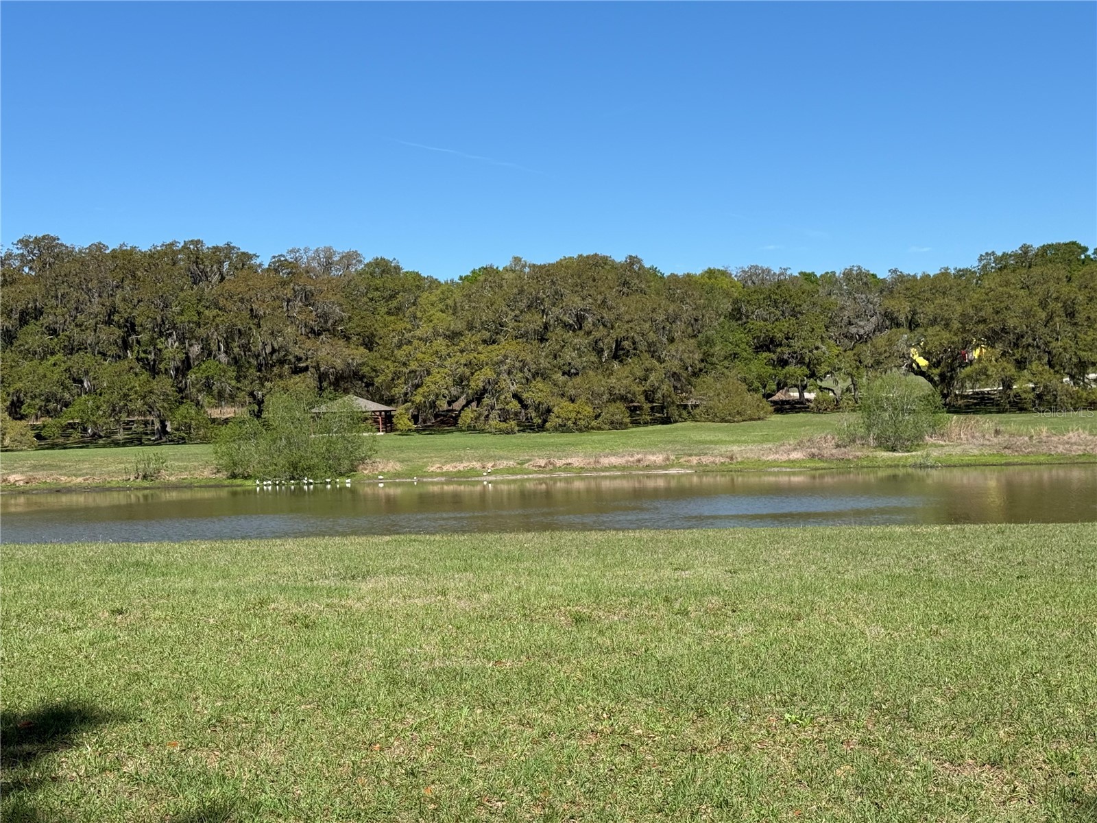 10426 SW 133rd Avenue Dunnellon FL 34432 OM721214 image26