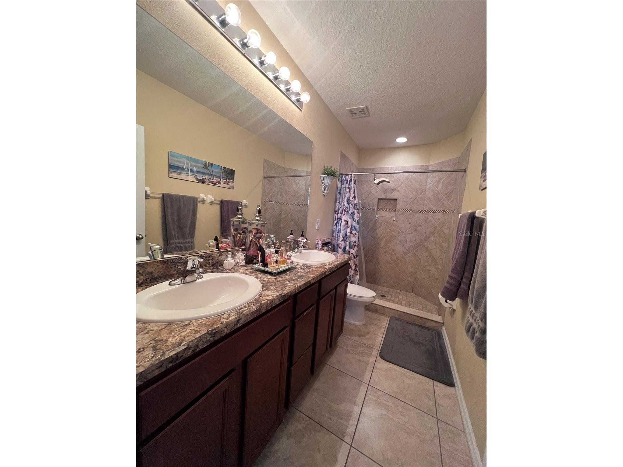 10426 Yellow Spice Court Riverview FL 33578 O6420337 image11