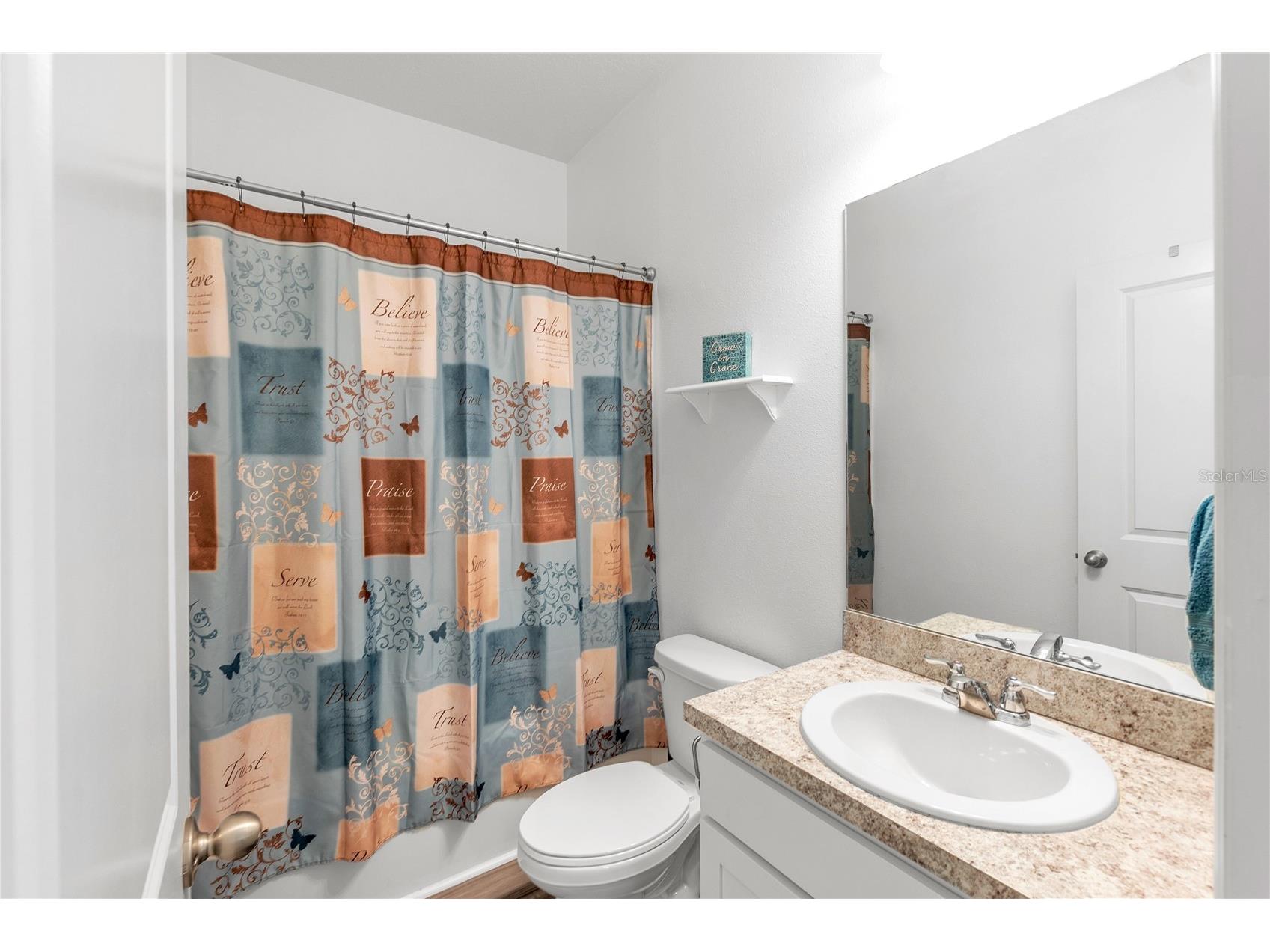 10427 Ladybug Cove Parrish FL 34219 A4681816 image11