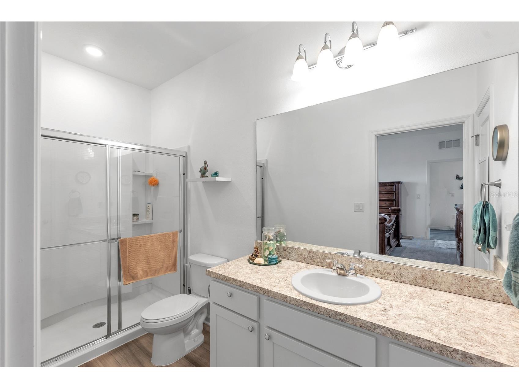 10427 Ladybug Cove Parrish FL 34219 A4681816 image8