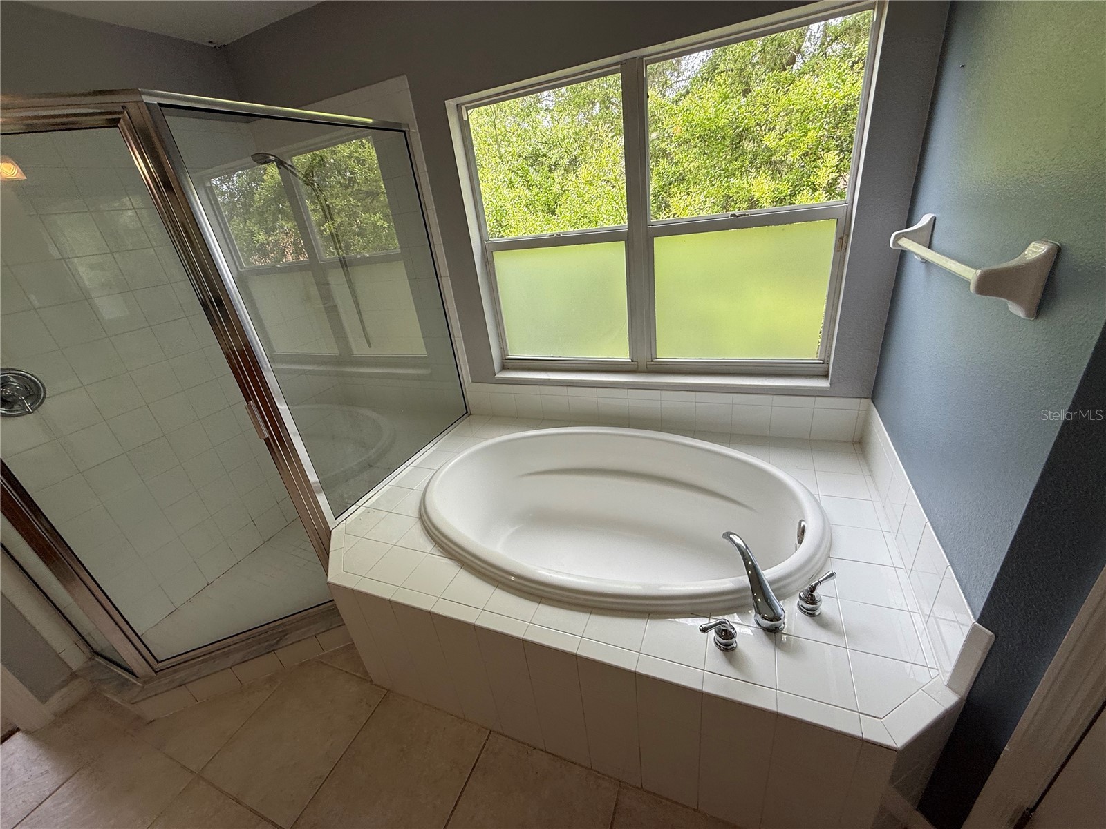 10427 Lucaya Drive Tampa FL 33647 TB8505952 image15