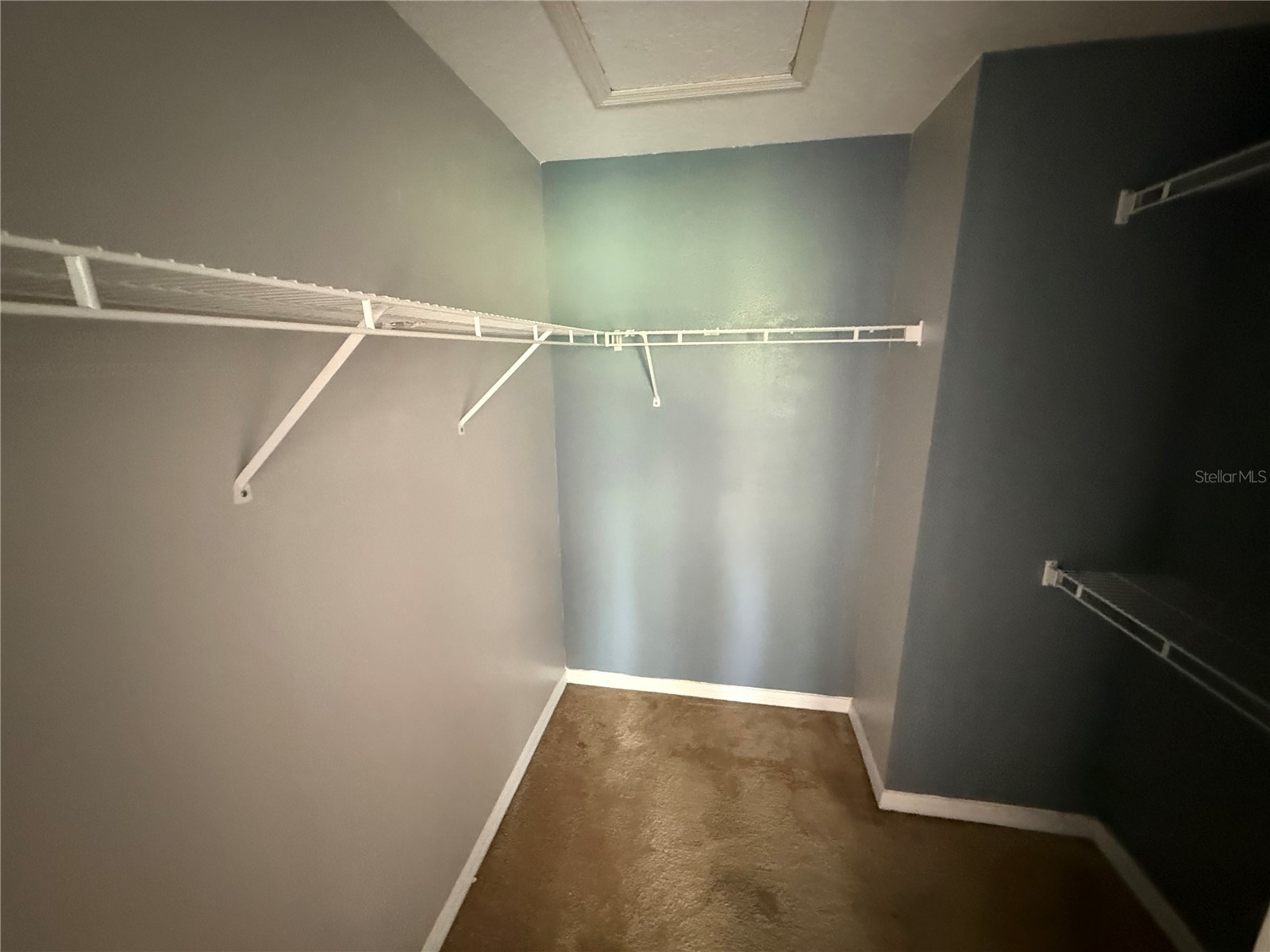 10427 Lucaya Drive Tampa FL 33647 TB8505952 image17