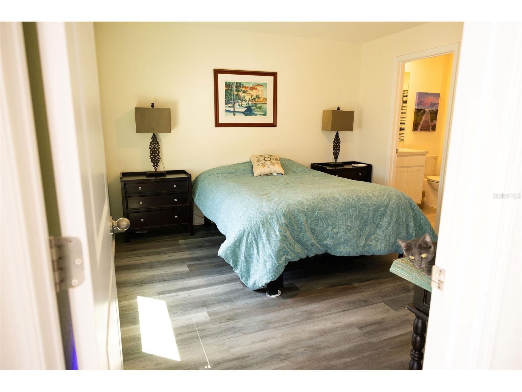 10428 Flathead Drive Parrish FL 34219 A4698038 image13