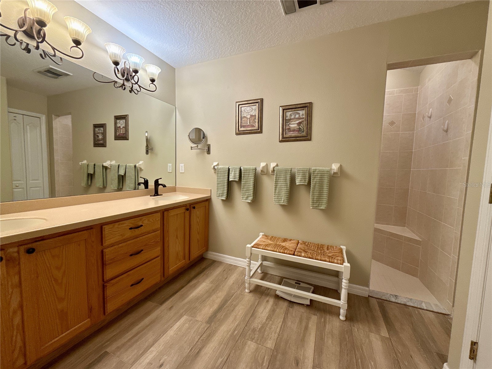 10428 Henderson Street Spring Hill FL 34608 TB8515374 image23
