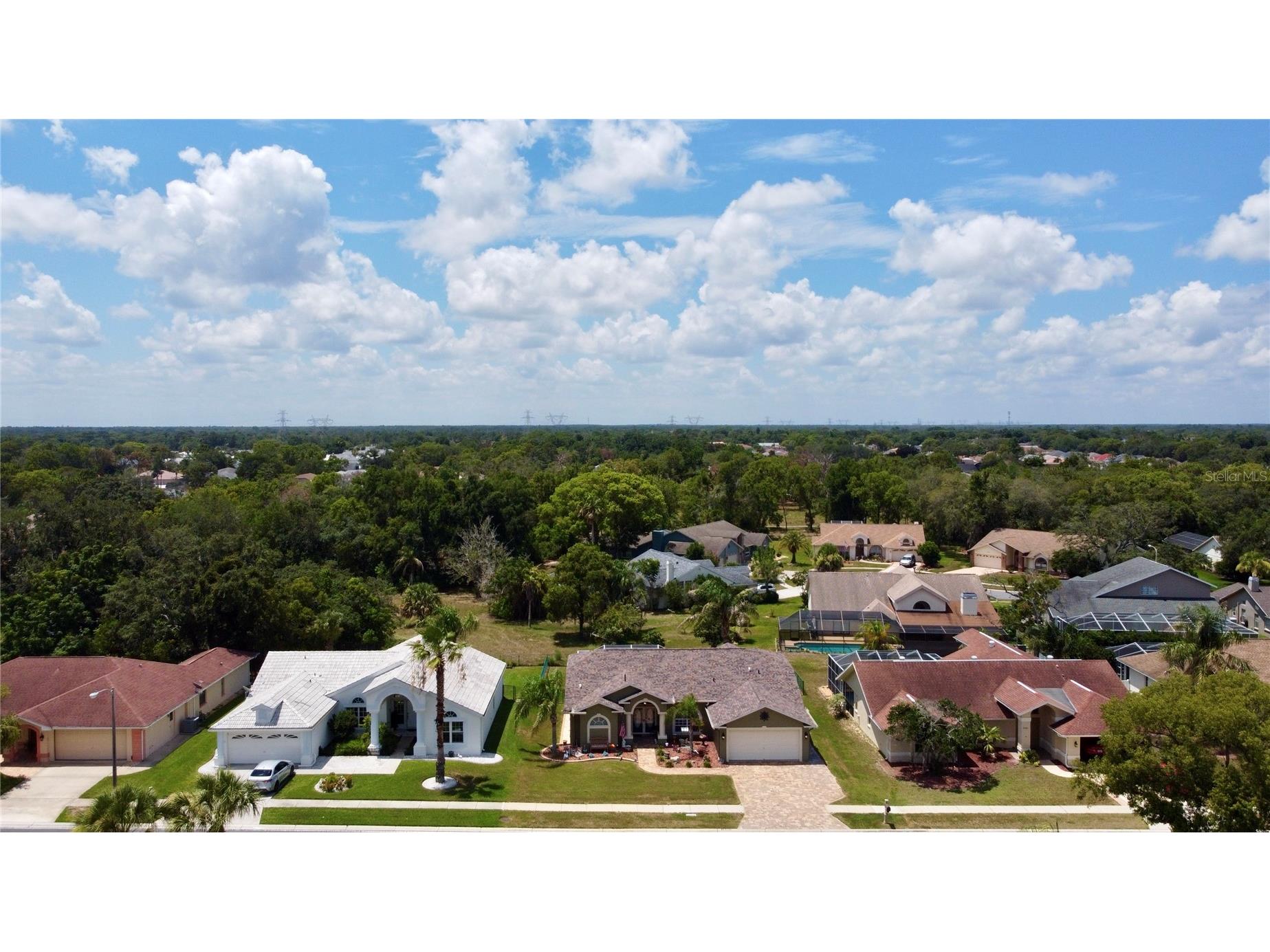 10428 Henderson Street Spring Hill FL 34608 TB8515374 image40