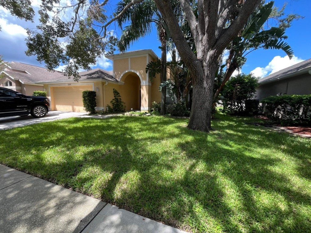 10428 Lightner Bridge Drive Tampa FL 33626 TB8436419 image2