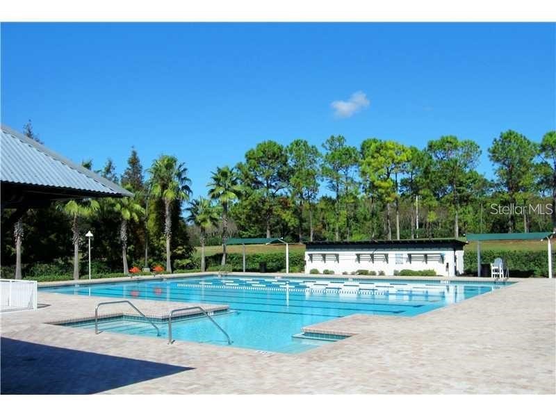 10428 Lightner Bridge Drive Tampa FL 33626 TB8436419 image5