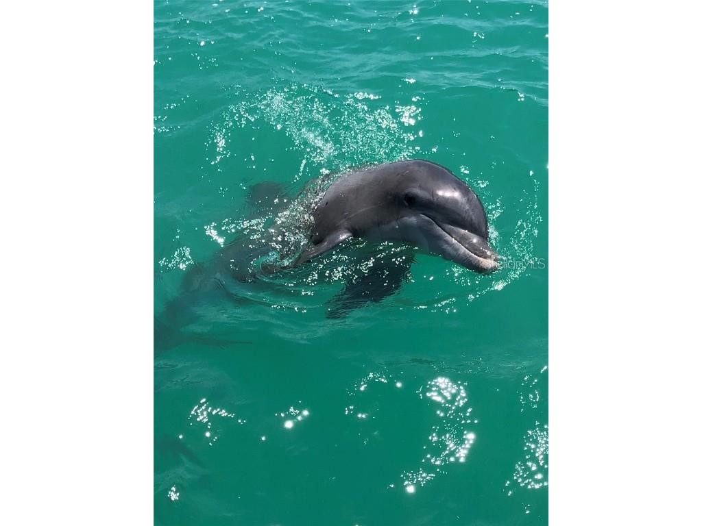 10428 Marion Street Englewood FL 34224 - LEMON BAY C7516451 image14