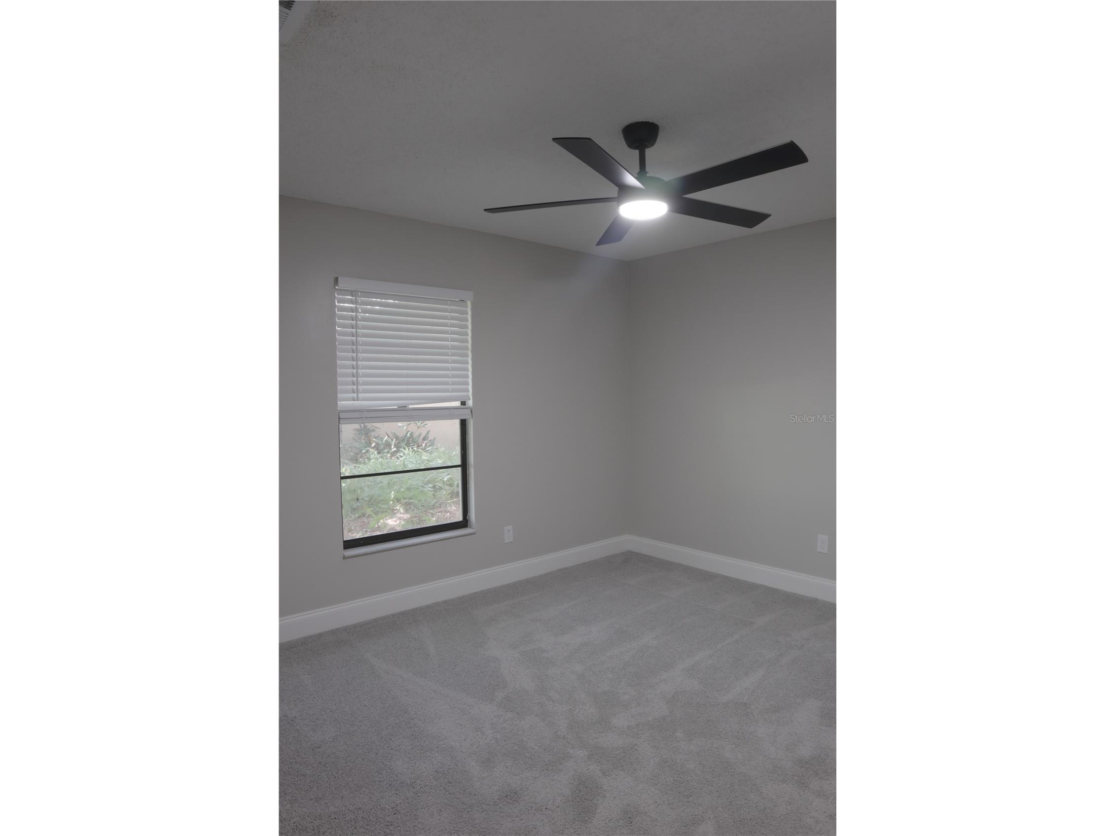 10428 Tara Drive Riverview FL 33578 TB8528407 image17