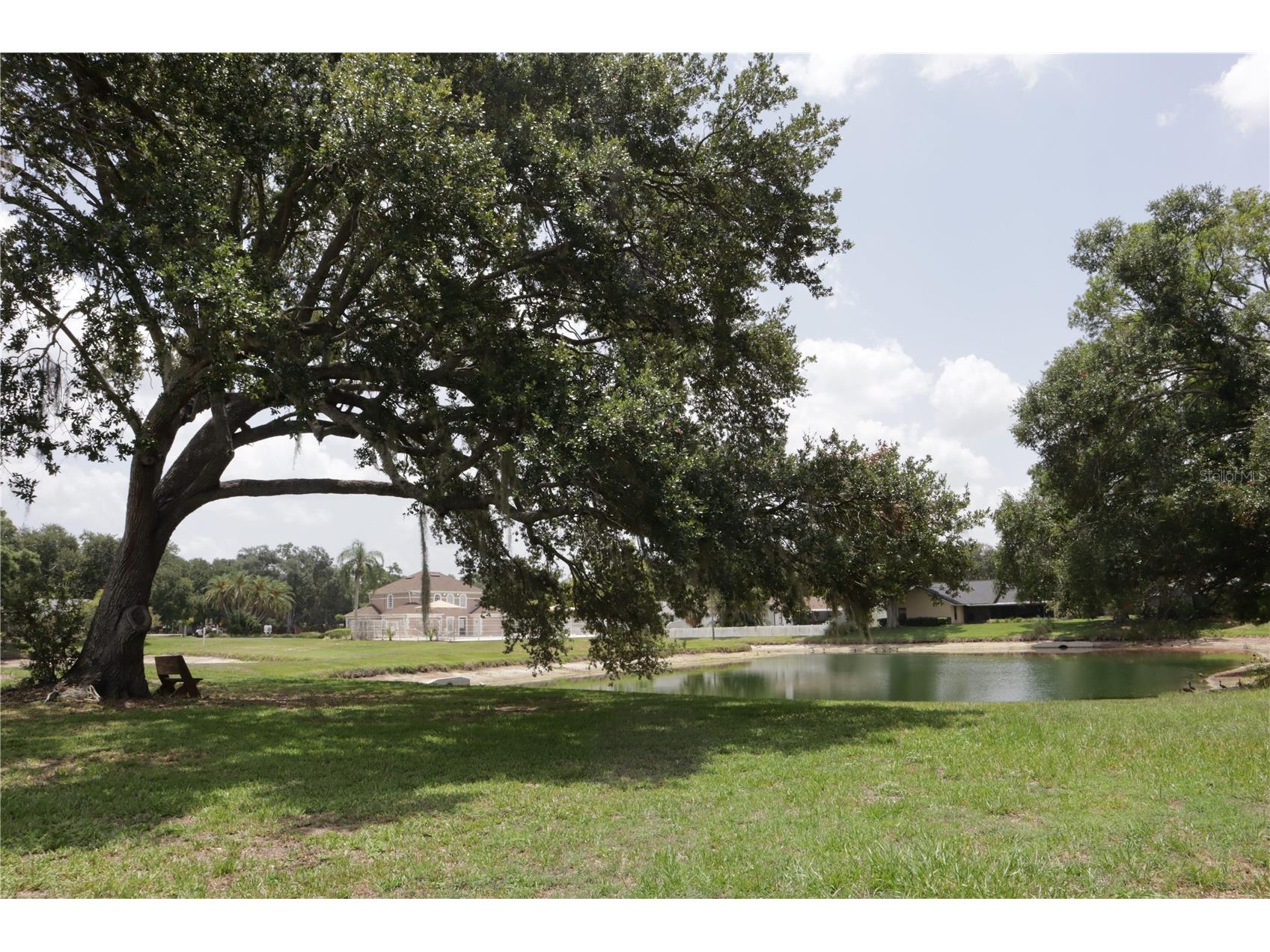 10428 Tara Drive Riverview FL 33578 TB8528407 image48