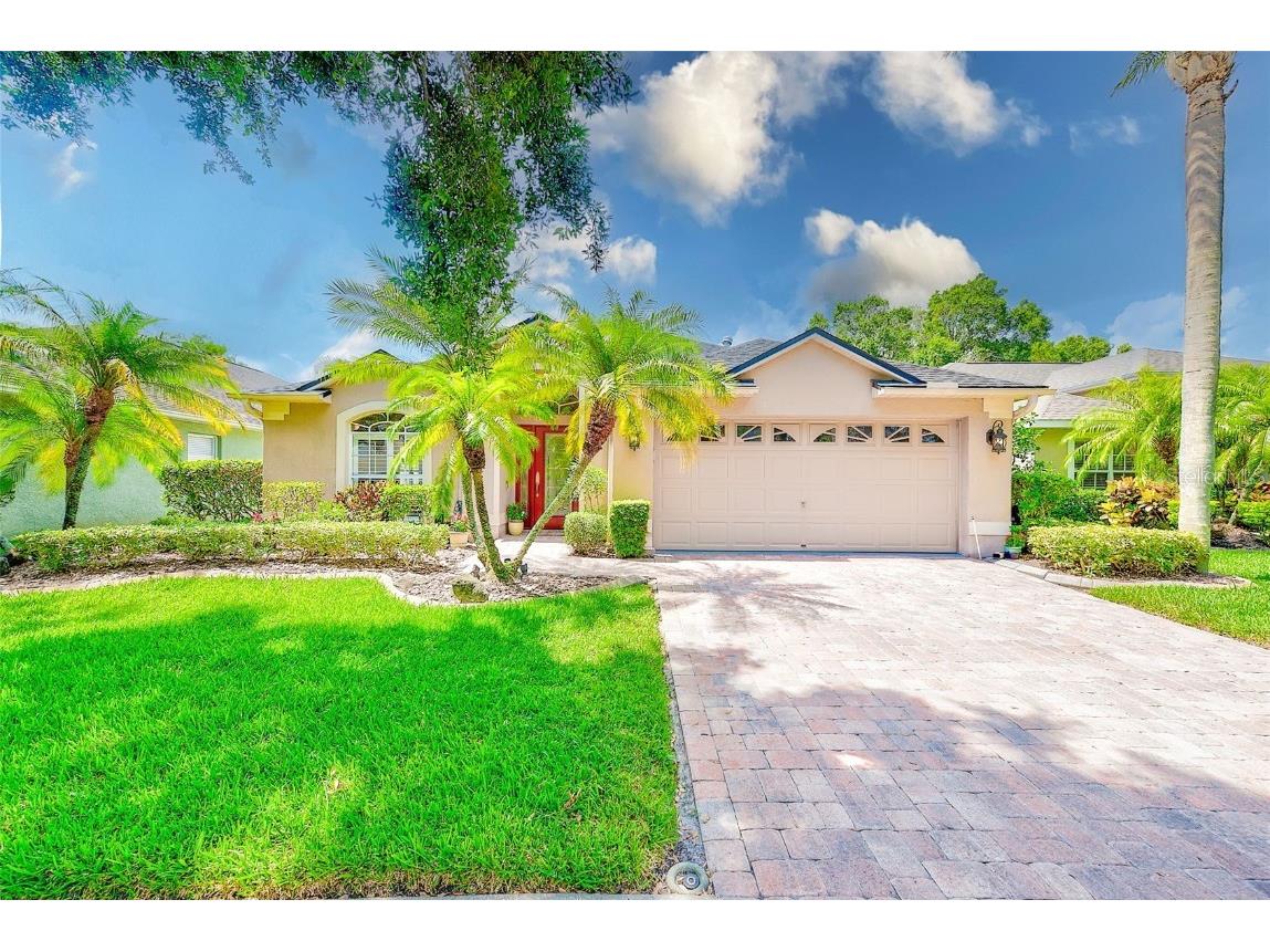 10429 Lightner Bridge Drive Tampa FL 33626 T3532870 image1