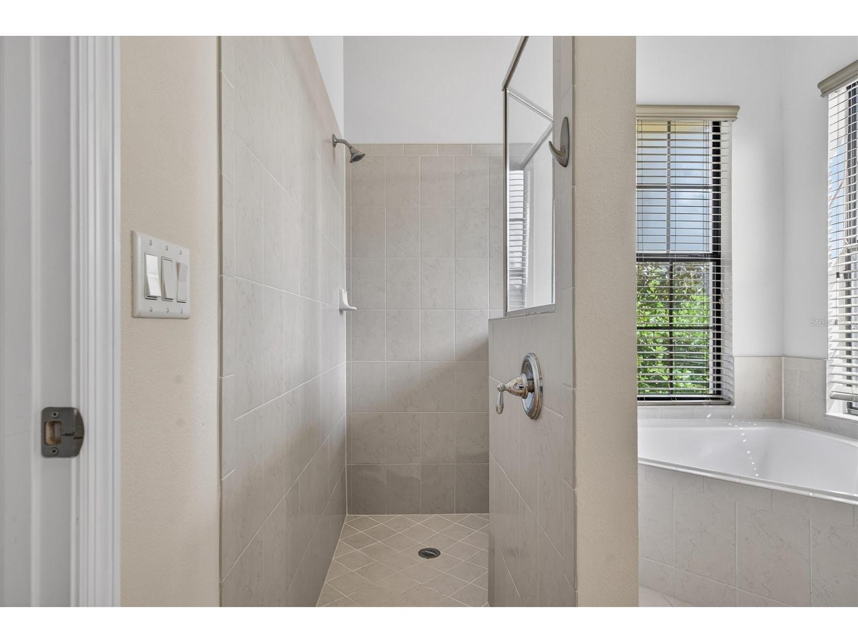 10429 Stapeley Dr Orlando FL 32832 O6397044 image32