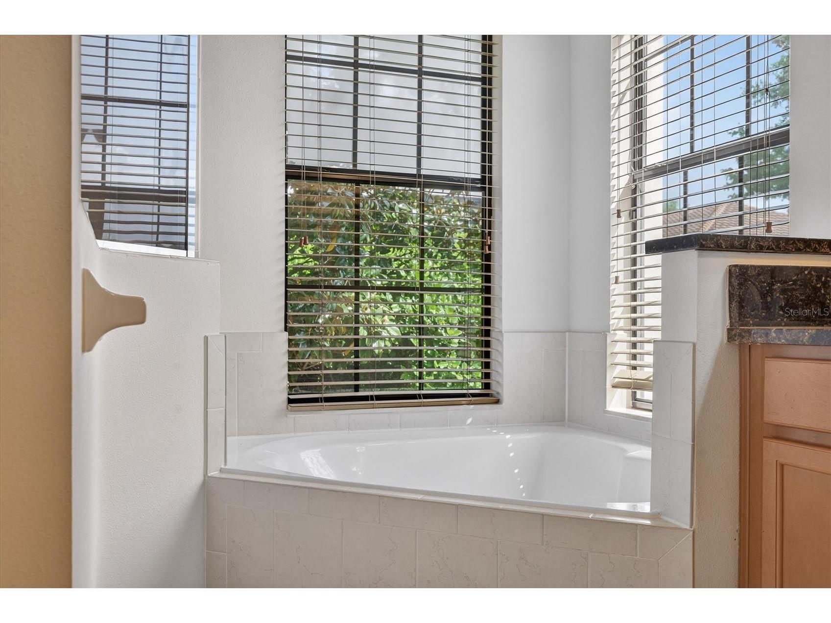10429 Stapeley Dr Orlando FL 32832 O6397044 image33