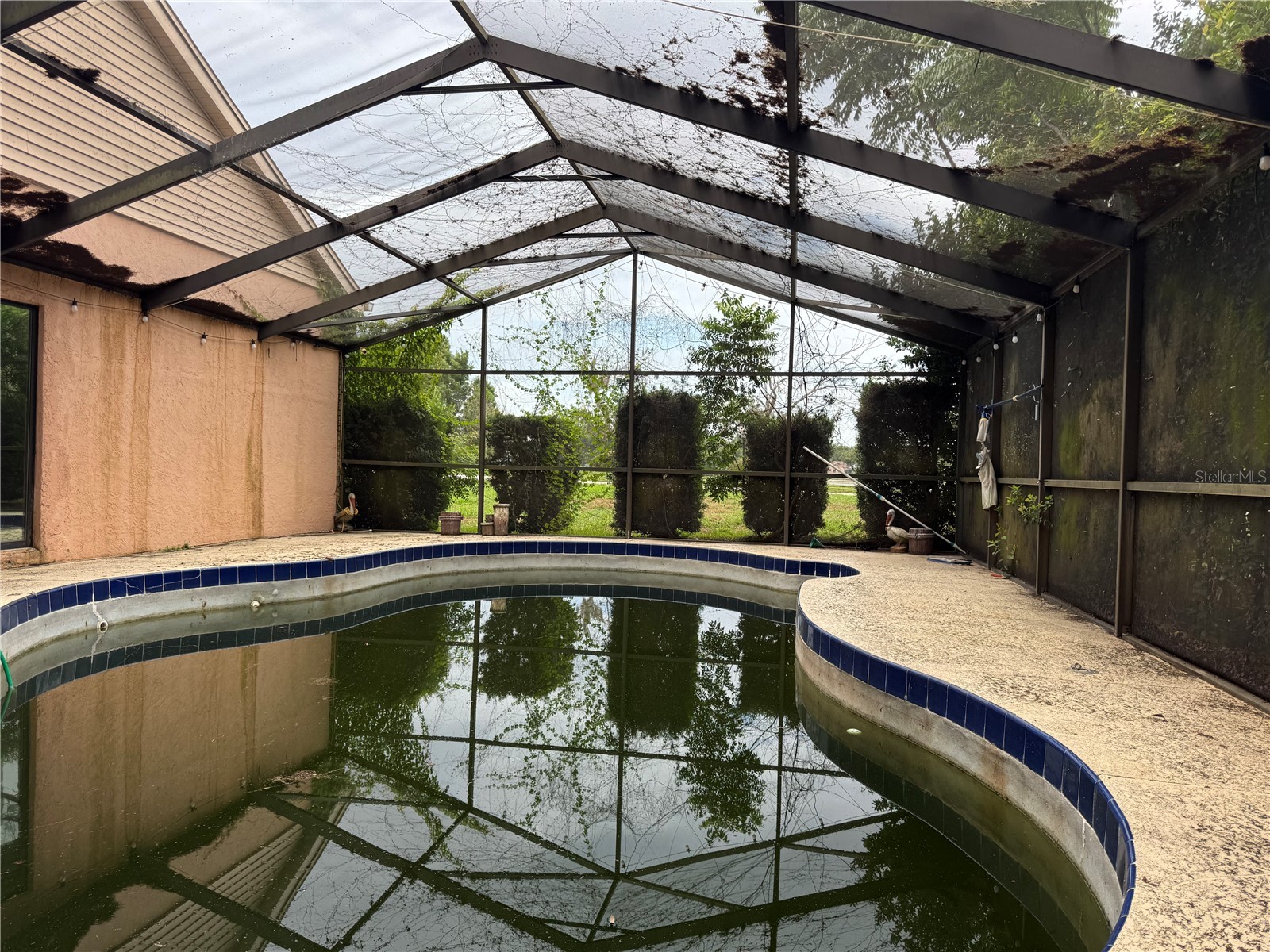 1043 Bucksaw Place Longwood FL 32750 O6406061 image27