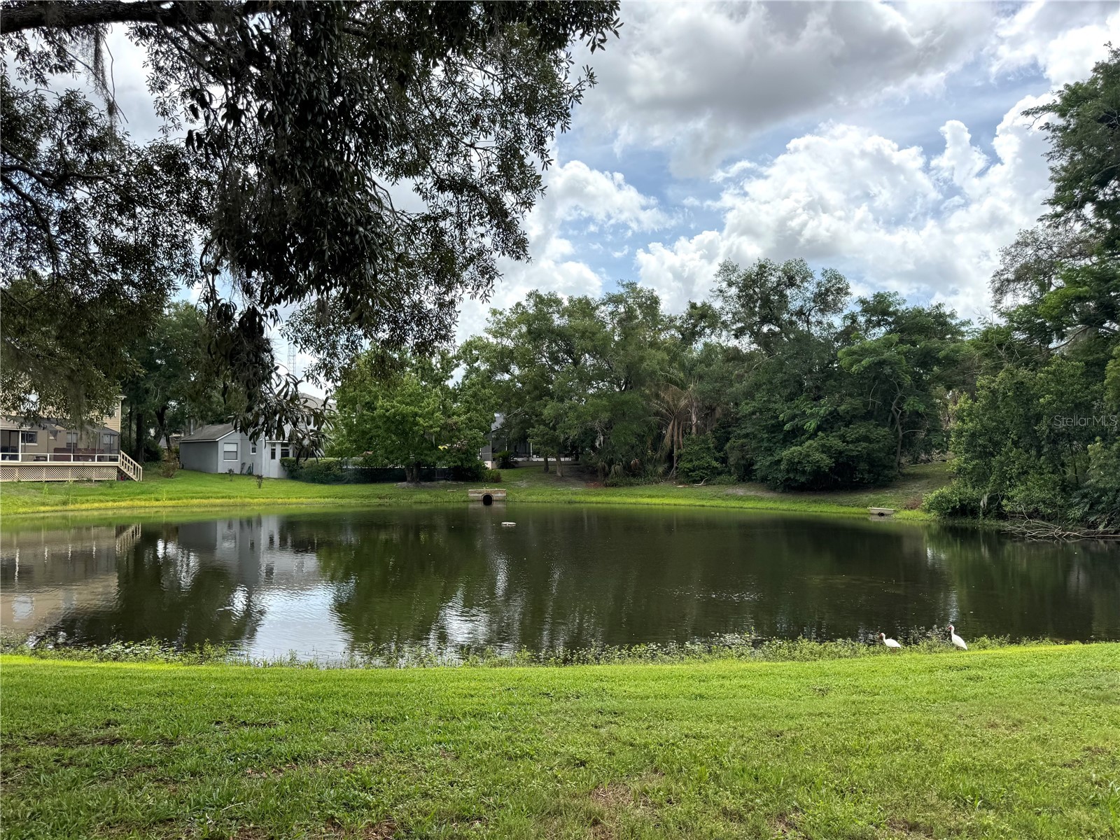 1043 Bucksaw Place Longwood FL 32750 O6406061 image4