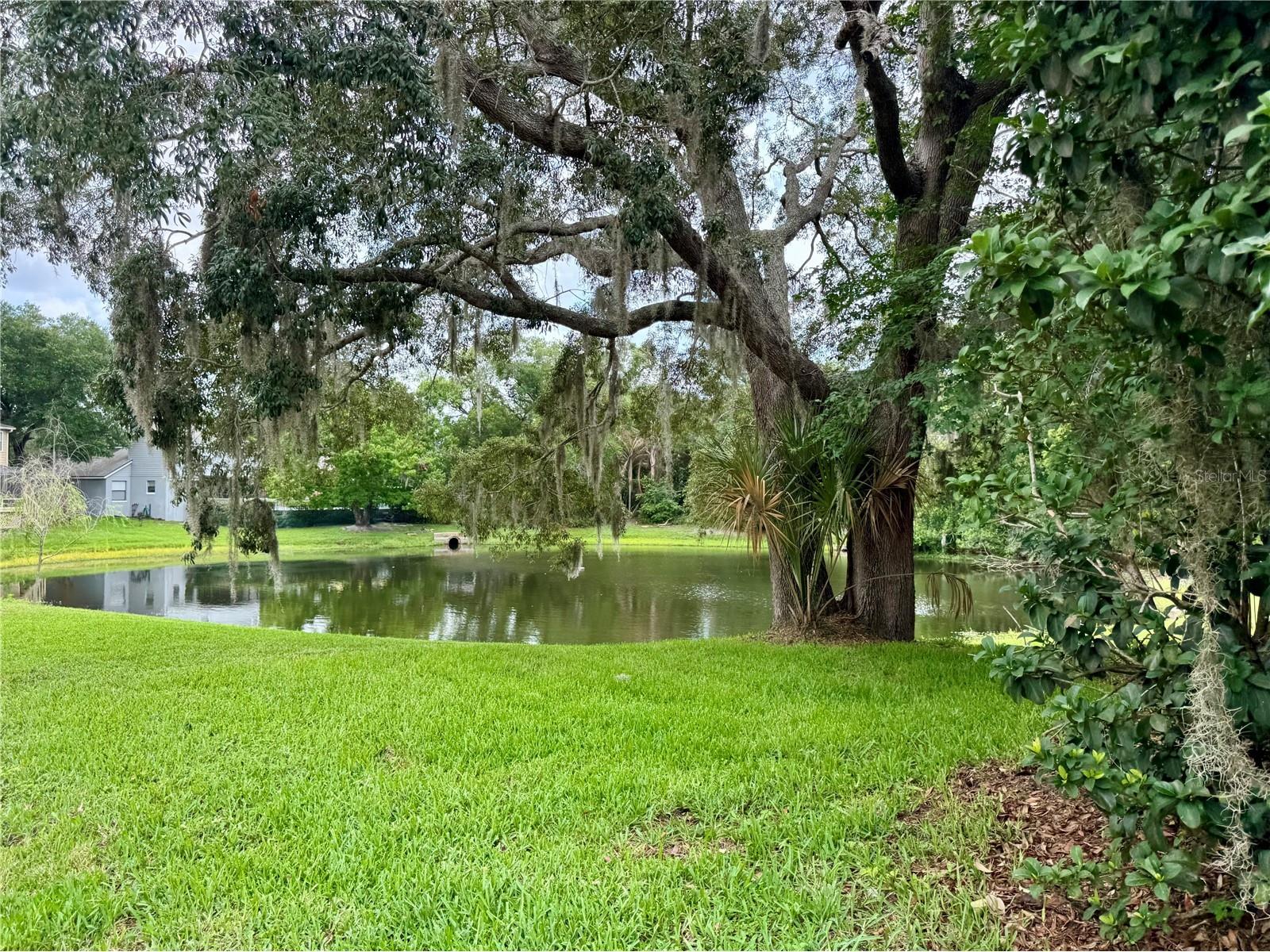 1043 Bucksaw Place Longwood FL 32750 O6406061 image5