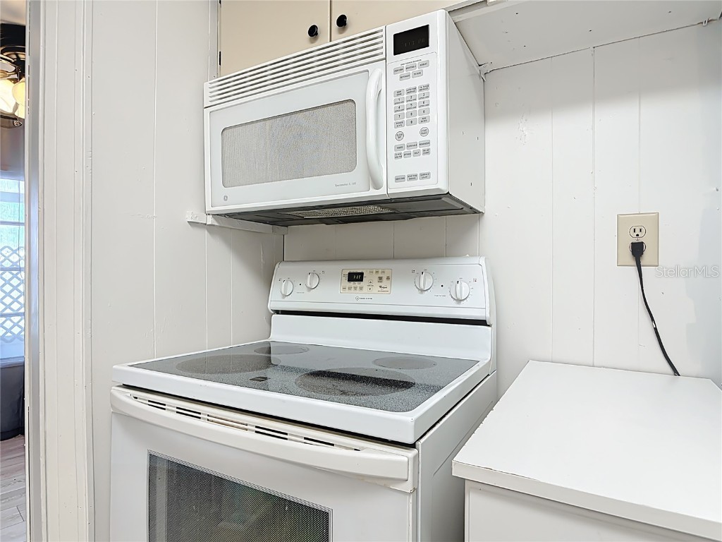 1043 Capella Drive Tavares FL 32778 G5105315 image8