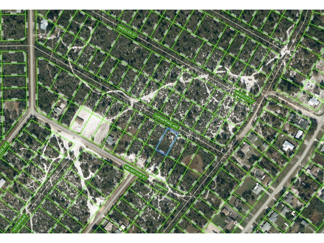 1043 Chesapeake Avenue Lake Placid FL 33852 OM625220 image1