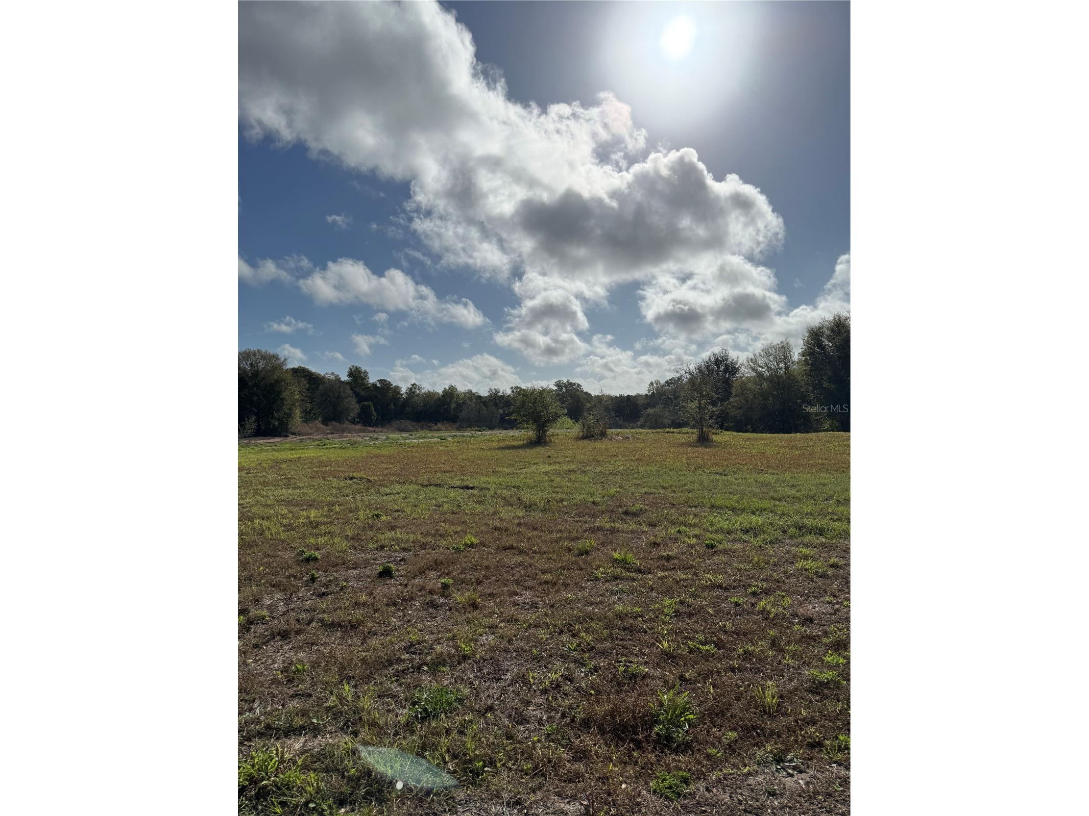1043 Hazen Road Deland FL 32720 V4947772 image6