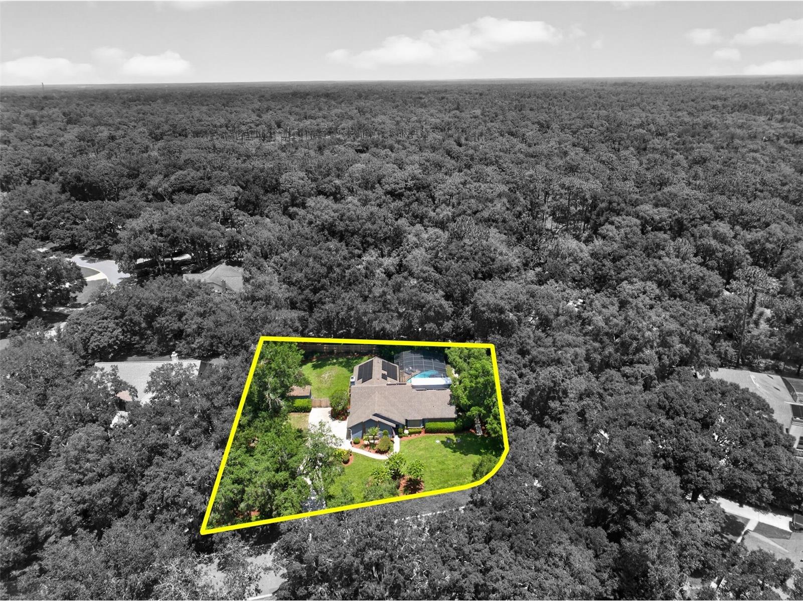 1043 Lakeside Drive Apopka FL 32712 - LAKE PREVATT O6425808 image64