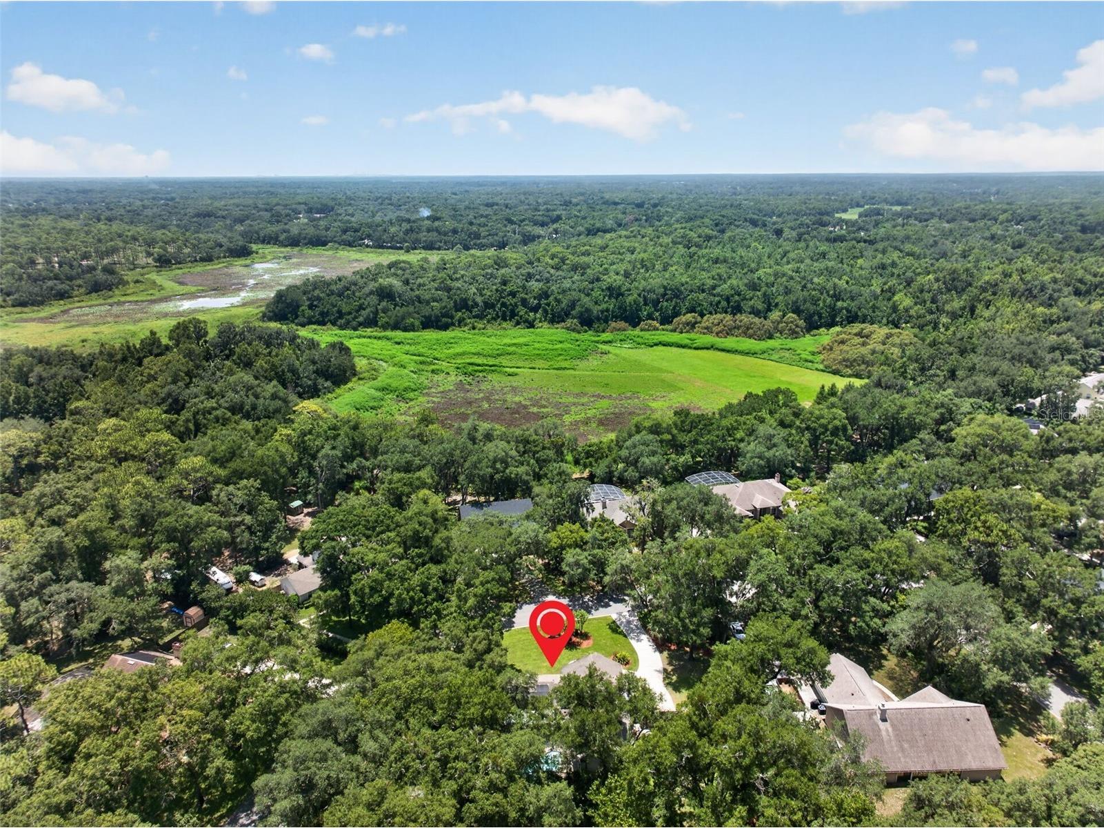1043 Lakeside Drive Apopka FL 32712 - LAKE PREVATT O6425808 image66