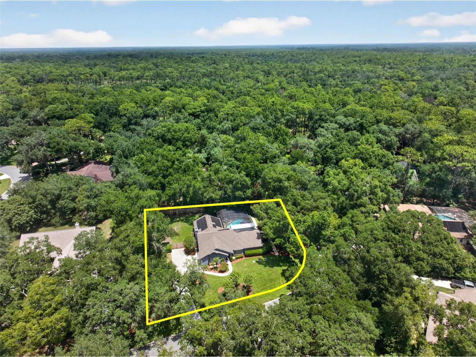 1043 Lakeside Drive Apopka FL 32712 - LAKE PREVATT O6425808 image68