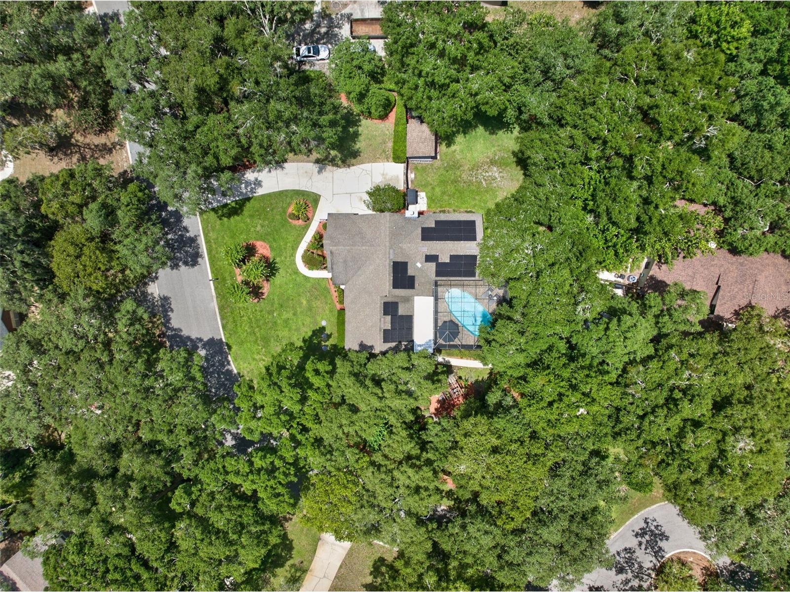 1043 Lakeside Drive Apopka FL 32712 - LAKE PREVATT O6425808 image69