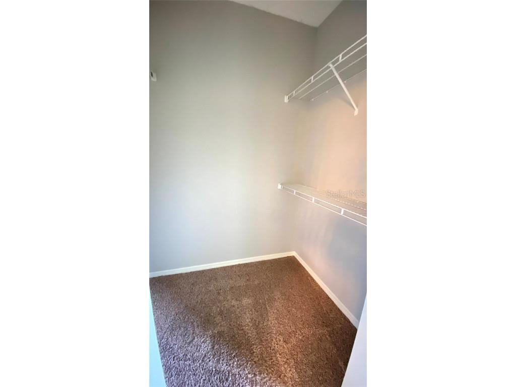 1043 Normandy Trace Road Tampa FL 33602 TB8435441 image15