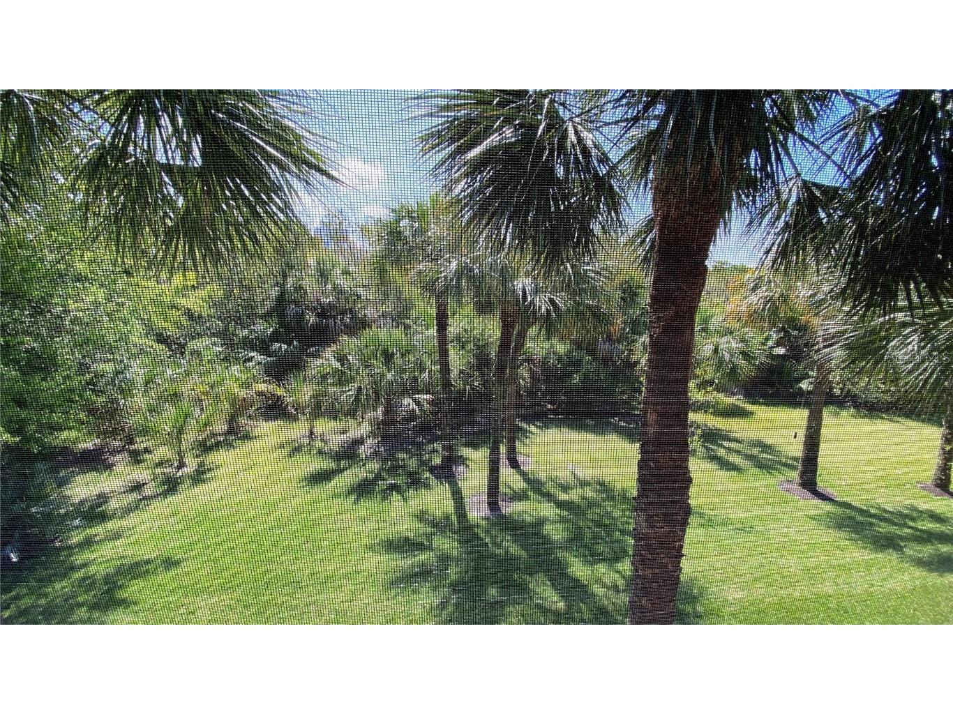 1043 Normandy Trace Road Tampa FL 33602 TB8435441 image19