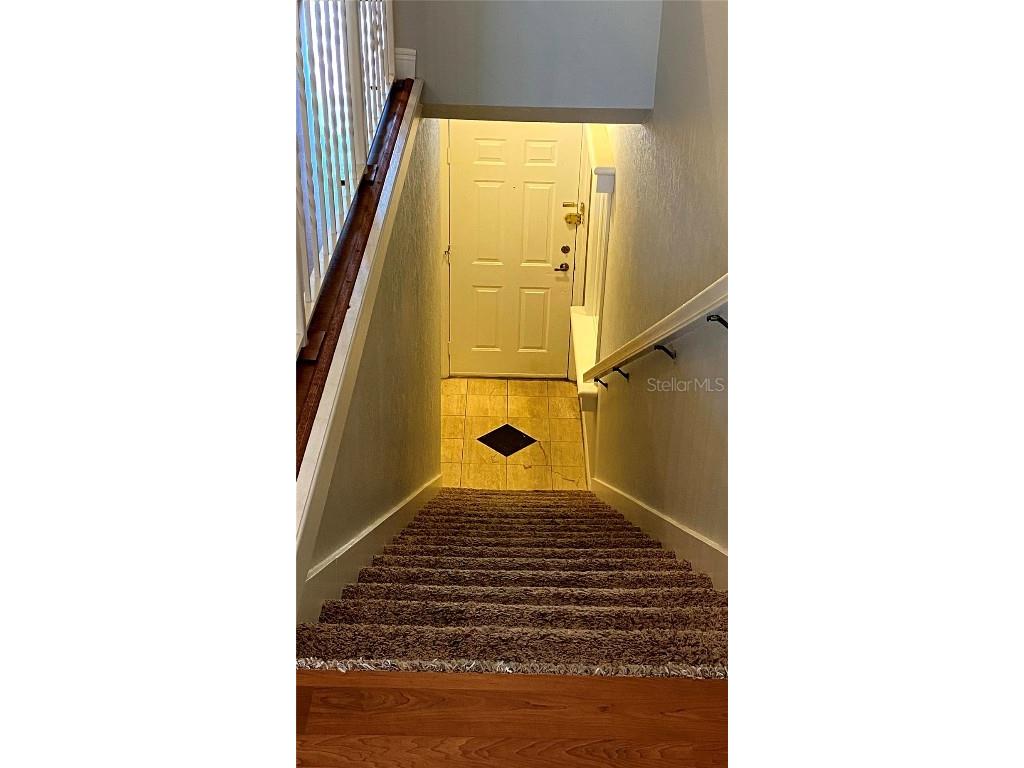 1043 Normandy Trace Road Tampa FL 33602 TB8435441 image3