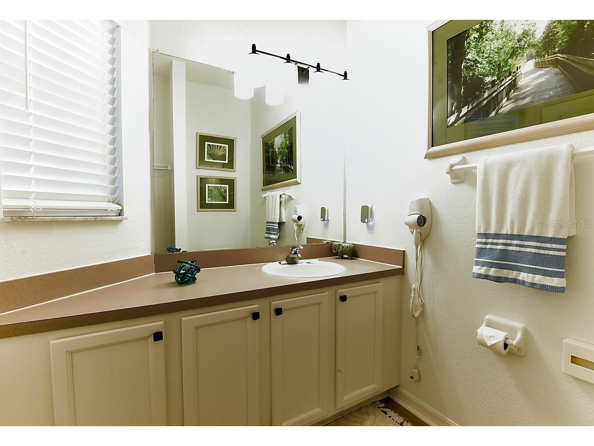 1043 Park Ridge Circle Kissimmee FL 34746 S5149829 image24
